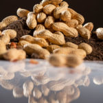 Erdnuss vor einem Haufen Erdnüsse auf Erde liegend