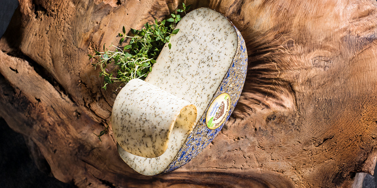 Angeschnittener Ziegenkäselaib auf Holz